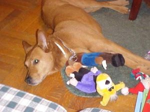 263709_10150234148755485_4168592_n