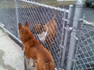 267440_10150233954200485_845999_n