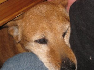 268050_10150236601805485_259317_n