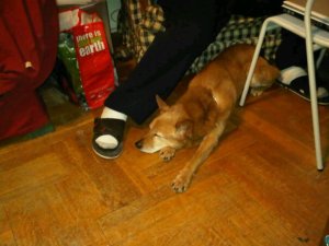 284376_10150233955270485_2895616_n